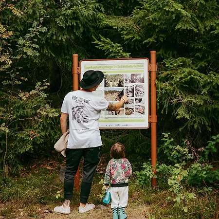Funkyfuxbau - Dein Nature Escape Mitten Im Wald Auf Dem Fellberg! Apartment *