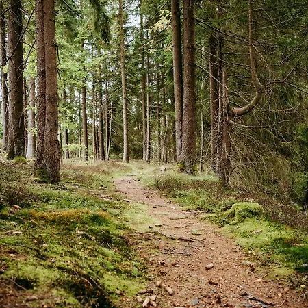 Apartment Funkyfuxbau - Dein Nature Escape Mitten Im Wald Auf Dem Fellberg! Steinach (Thuringia)